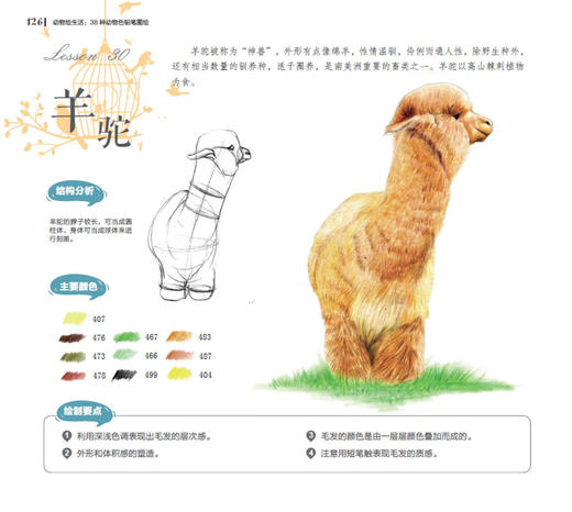 动物绘生活：38种动物色铅笔图绘 商品图5