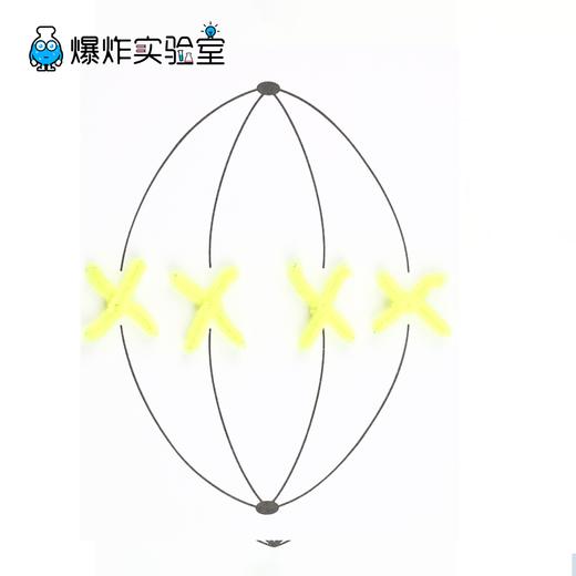 细胞分裂 商品图2