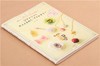 日本PADICO帕蒂格粘土UV树脂滴胶教程产品使用说明 商品缩略图1