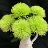 新鲜速递|安娜菊 商品缩略图2