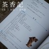 茶香记 《摆件收藏赏玩指南》 摆件收藏  入门书籍 商品缩略图2
