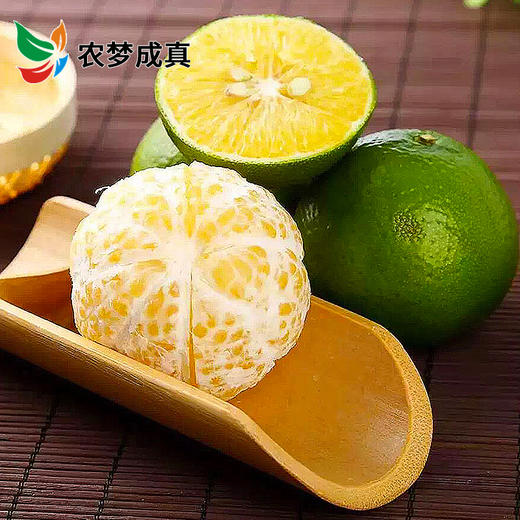 广西灵山皇帝柑 “贡柑” 皮薄肉脆 无渣少核 清甜爽滑 5斤包邮 商品图0