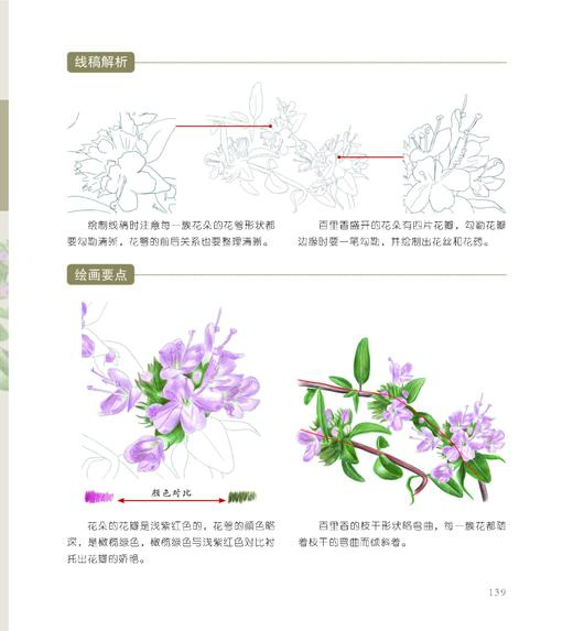 植物知道生命的答案：色铅笔花草私享课 商品图1