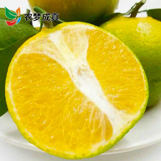 广西灵山皇帝柑 “贡柑” 皮薄肉脆 无渣少核 清甜爽滑 5斤包邮 商品图3