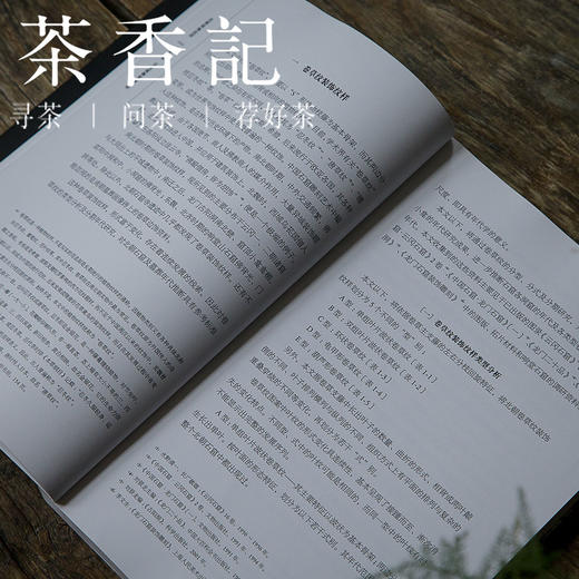 茶香记 《北朝装饰纹样》故宫出版社    五、六世纪石窟装饰纹样的考古研究 商品图2