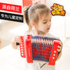 荷兰 NEW CLASSIC TOYS 儿童手风琴 商品缩略图0