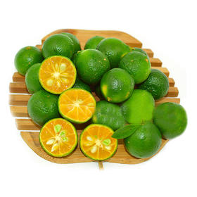 海南小金桔 青金桔小柠檬500g/份