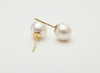 Pearl moments18K BE LOVED 珍珠耳钉 商品缩略图2