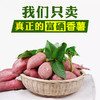 沙湾富硒小香薯一件五公斤 商品缩略图0