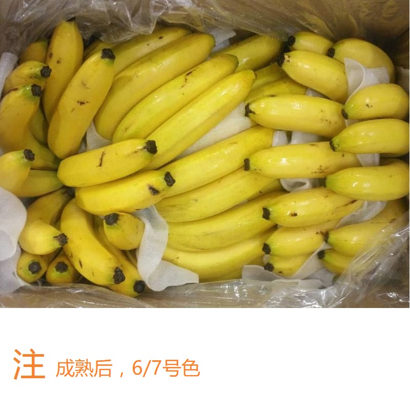越南金黄香蕉