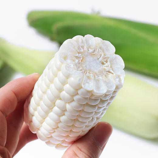 漳州牛奶玉米4根 可生吃2018当季新鲜水果白玉米 商品图1