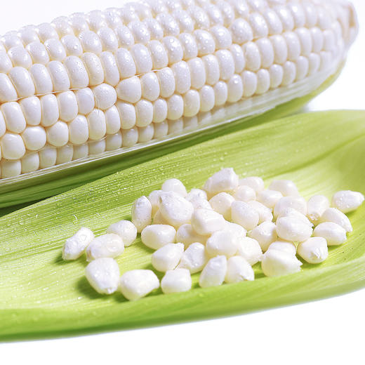 漳州牛奶玉米4根 可生吃2018当季新鲜水果白玉米 商品图3