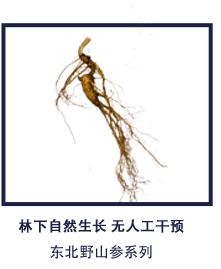 测试产品1 商品图0