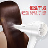 雷瓦(RIWA) 电吹风机 家用大功率快速干发吹风筒2000W 白色RC-7136 商品缩略图4