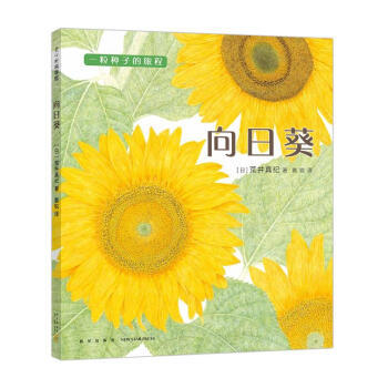 向日葵 商品图0