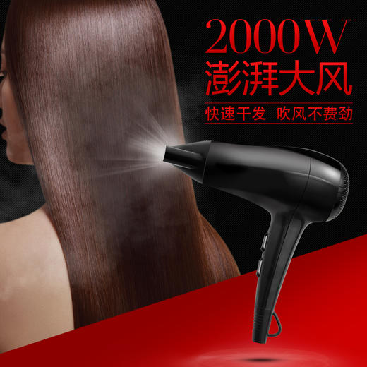 雷瓦（RIWA） 电吹风2000W家用大功率吹风机速干恒温 造型风筒 RC-7132(黑色) 商品图2