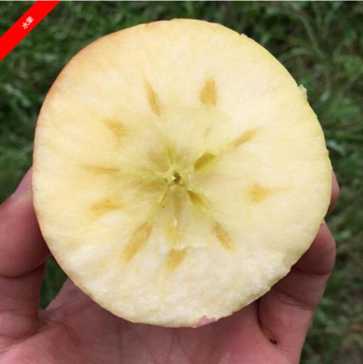 （永久下架）运城红富士苹果 8斤装 商品图2