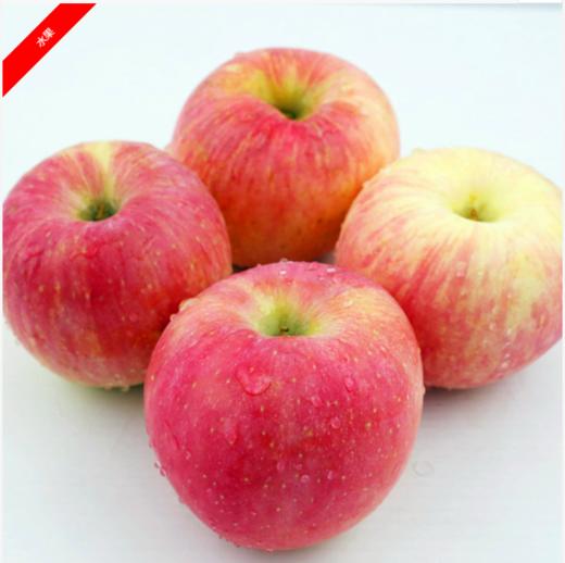 （永久下架）运城红富士苹果 8斤装 商品图1