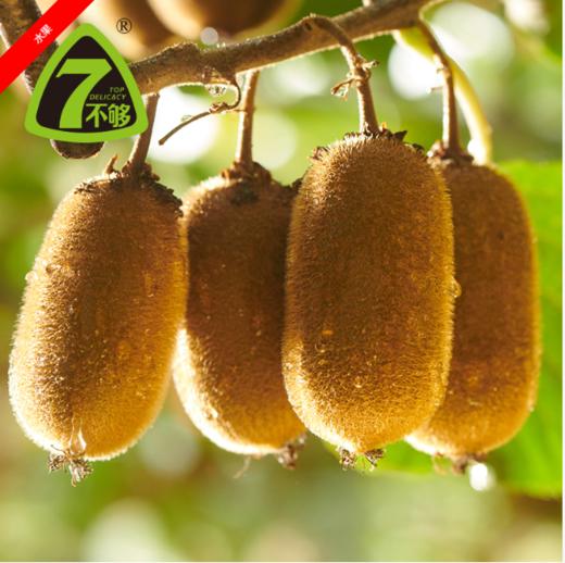 （永久下架）7不够猕猴桃 5斤装 商品图3