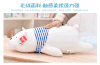 北极熊 商品缩略图0