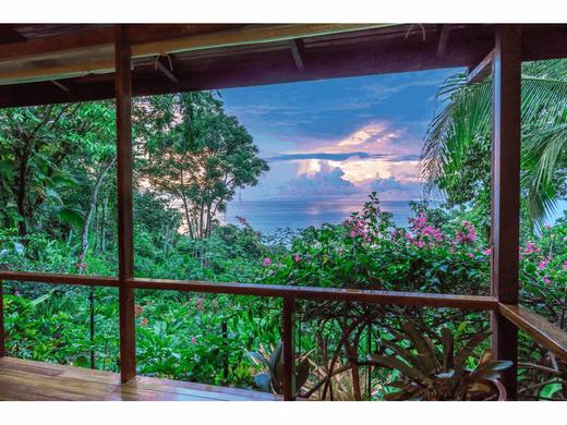 COSTA RICA | 哥斯达黎加“飞羽形影录”之旅 商品图11