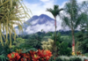 COSTA RICA | 哥斯达黎加“飞羽形影录”之旅 商品缩略图3