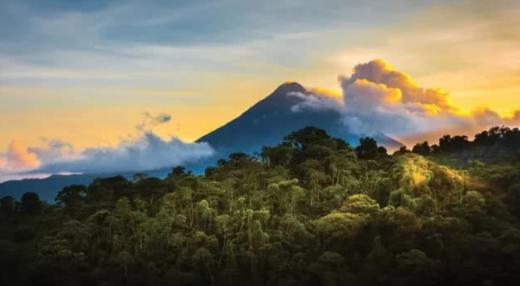 COSTA RICA | 哥斯达黎加“飞羽形影录”之旅 商品图1
