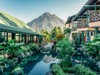 COSTA RICA | 哥斯达黎加“飞羽形影录”之旅 商品缩略图10