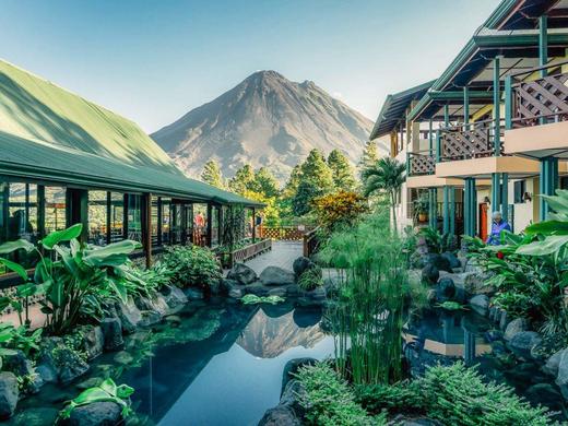 COSTA RICA | 哥斯达黎加“飞羽形影录”之旅 商品图10