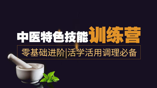 经络学基础第四讲 商品图0