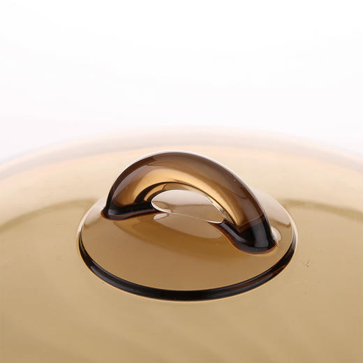 LC-B95F   香榭丽琥珀锅（5L） 商品图2