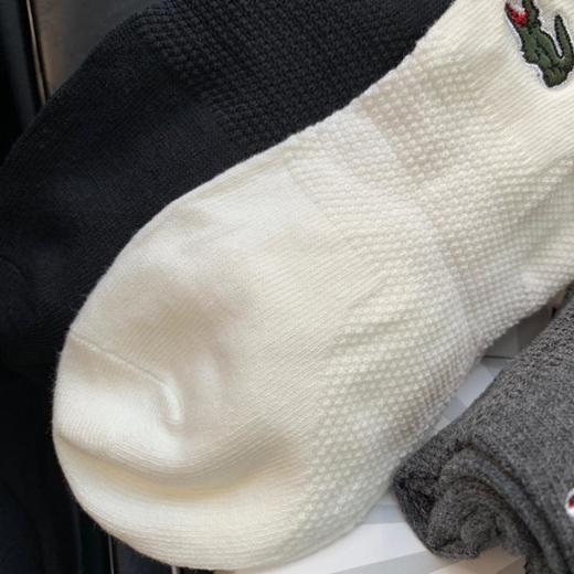 点此购买   原单！鳄鱼船袜  矫 108239 商品图8