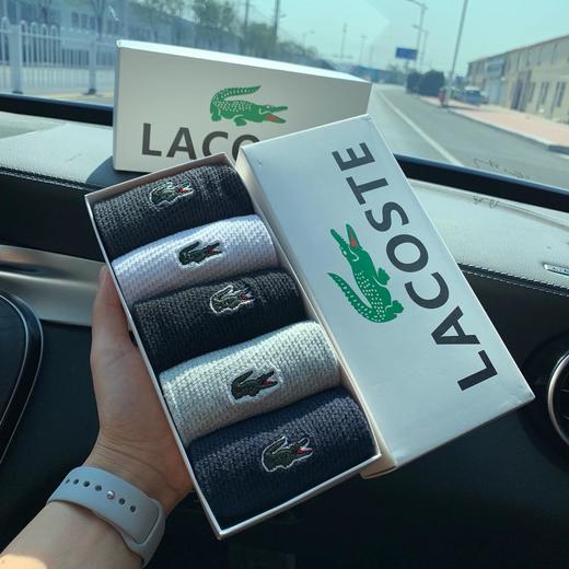 点此购买  原单！鳄鱼男士袜 矫 108258 商品图7