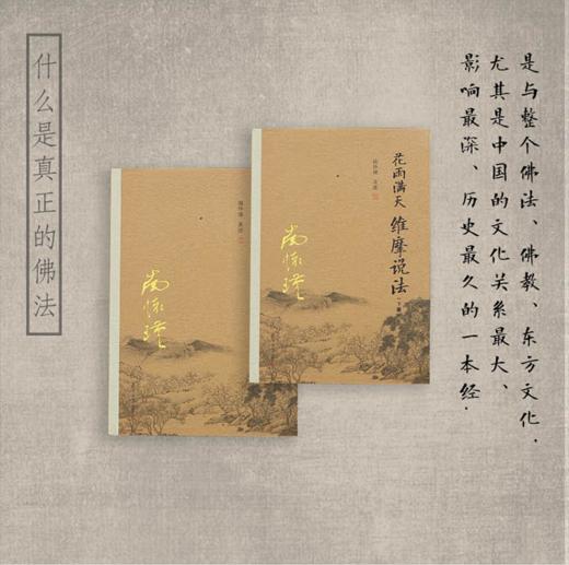《花雨满天维摩说法》南怀瑾著述 复旦大学出版社正版书籍 商品图1