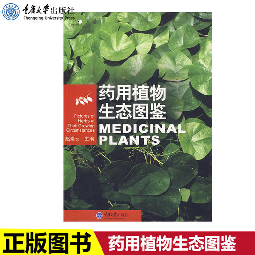 正版现货 药用植物生态图鉴(好奇心书系) 赵素云 著作赵素云　主 商品图0