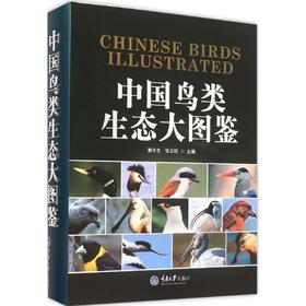 正版 中国鸟类生态大图鉴 收录我国鸟类1068种鸟类学动物学生态学