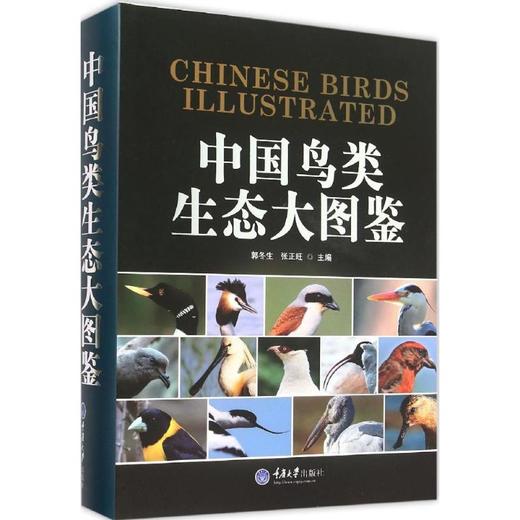 正版 中国鸟类生态大图鉴 收录我国鸟类1068种鸟类学动物学生态学 商品图0