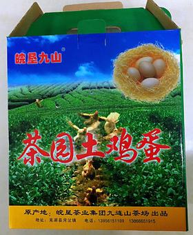 茶园土鸡蛋/40枚