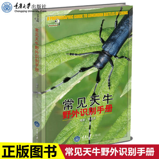 正版 常见天牛野外识别手册 好奇心书系野外识别手册系列天牛爱好 商品图0