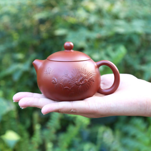 蝶恋花西施壶--夏和长大师手工紫砂壶 商品图0