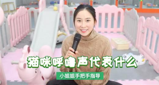 猫咪呼噜声代表什么 商品图0