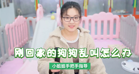 刚回家的狗狗叫怎么办