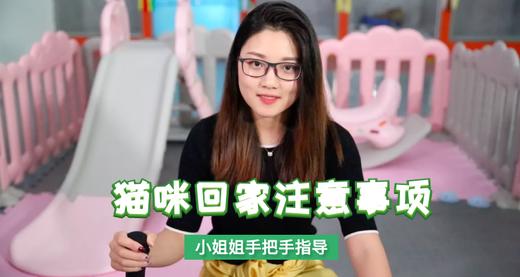 猫回家注意事项 商品图0