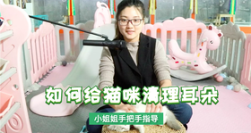 如何给猫咪清理耳道