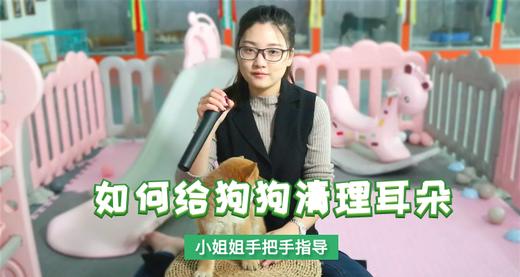怎样给狗狗清理耳道 商品图0