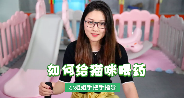 如何应对猫应急反应