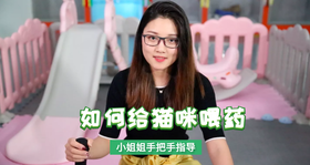 如何应对猫应急反应