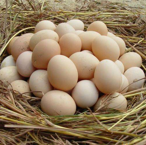 410土鸡蛋15个装