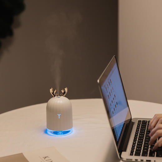迷你加湿器 usb家用静音 220ml大容量 小巧便携补水 商品图0