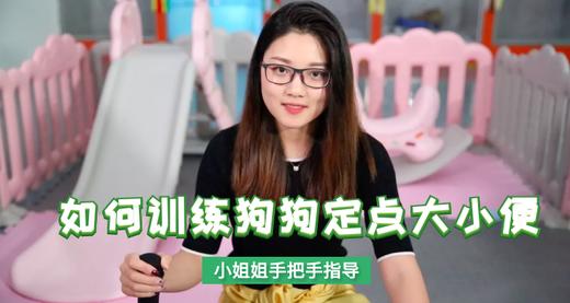 如何训练狗狗定点大小便 商品图0